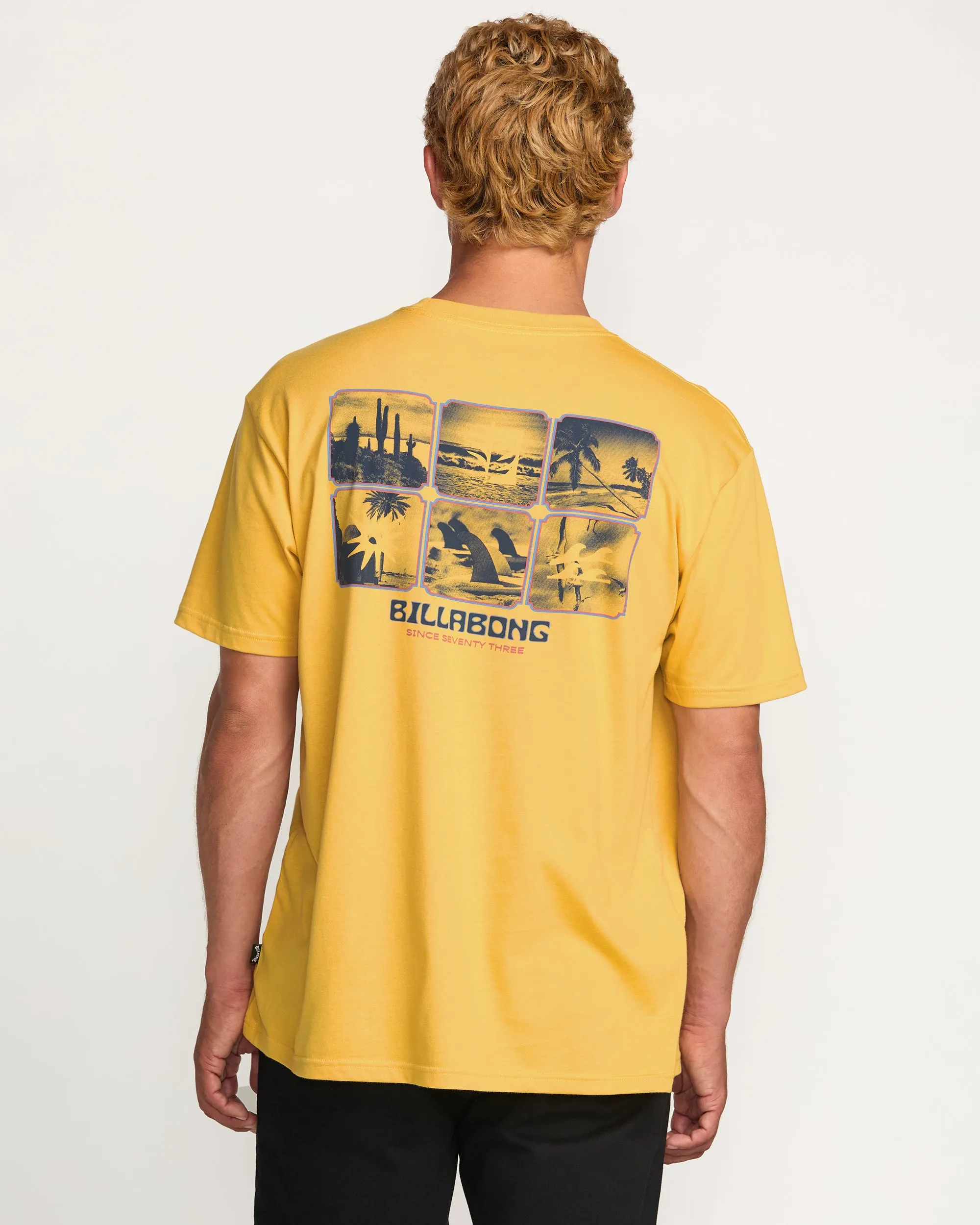 Window Premium Tee - Vintage Gold Billabong